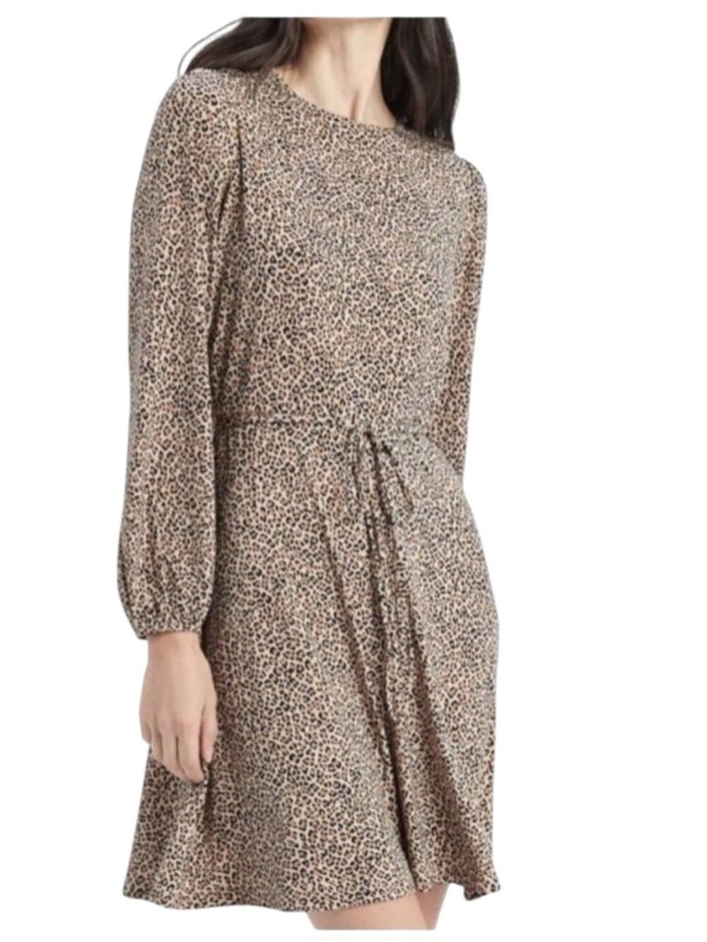 Banana Republic Leopard Animal Print Long Sleeve Tie Waist Dress